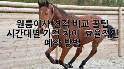 원룸이사 견적 비교 꿀팁🍯 시간대별 가격 차이 & 효율적인 예약 방법