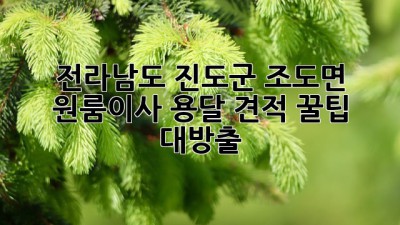 전라남도 진도군 조도면 원룸이사? 용달 견적 꿀팁 대방출! 🍯