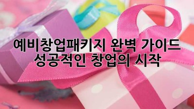 예비창업패키지 완벽 가이드: 성공적인 창업의 시작